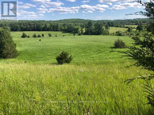 227 Concession Road 13 E, Trent Hills, Ontario  K0L 1Y0 - Photo 21 - X12293821