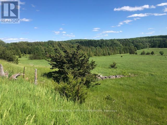 227 Concession Road 13 E, Trent Hills, Ontario  K0L 1Y0 - Photo 9 - X12293821