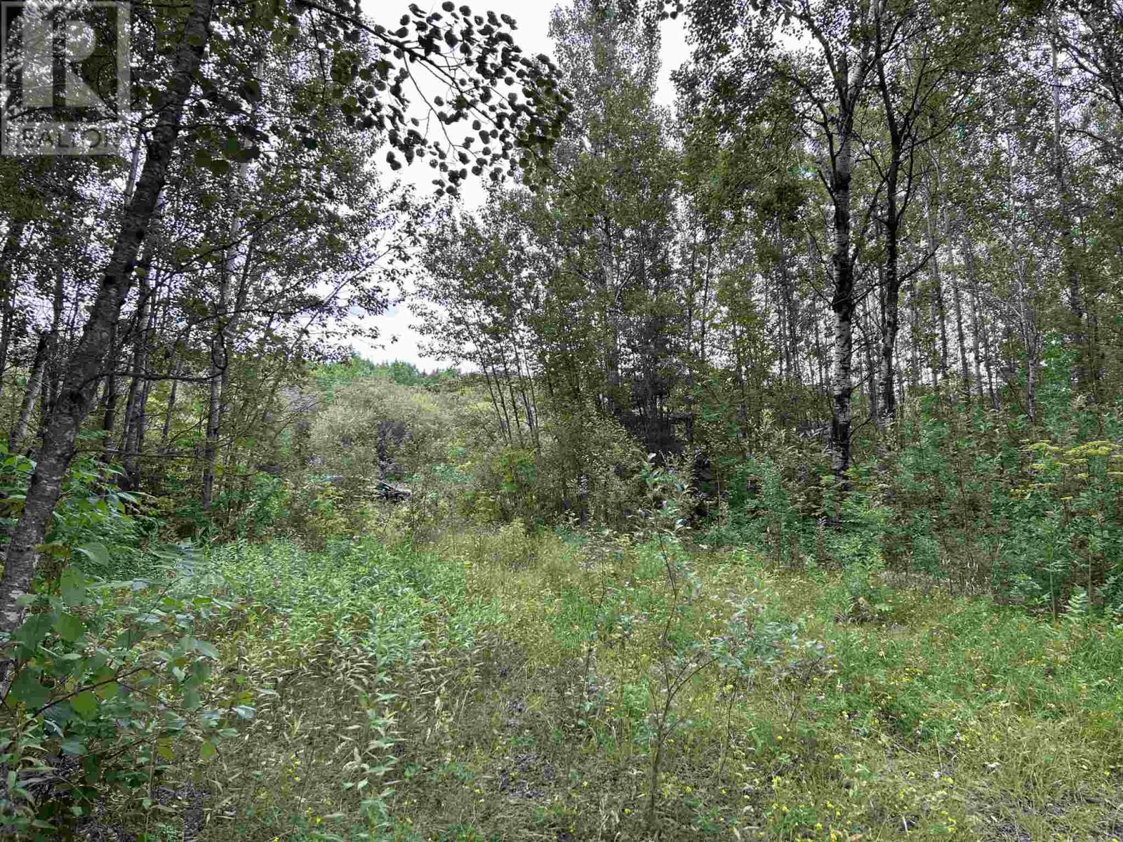 905 Frog Creek Rd, Alberton, Ontario  P9A 3M2 - Photo 11 - TB252155
