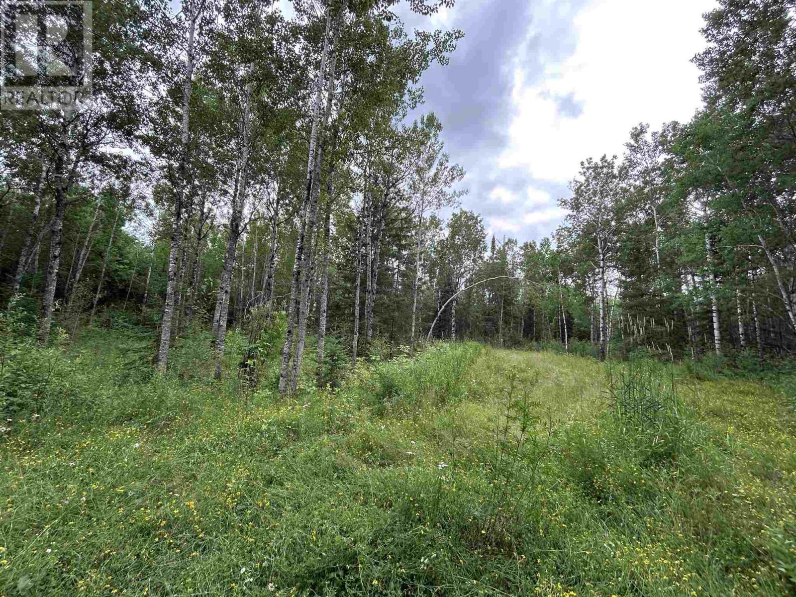 905 Frog Creek Rd, Alberton, Ontario  P9A 3M2 - Photo 6 - TB252155