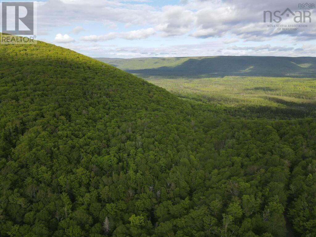 Grant 15819 Marsh Brook Road, Margaree Centre, Nova Scotia  B0E 1Z0 - Photo 2 - 202513578