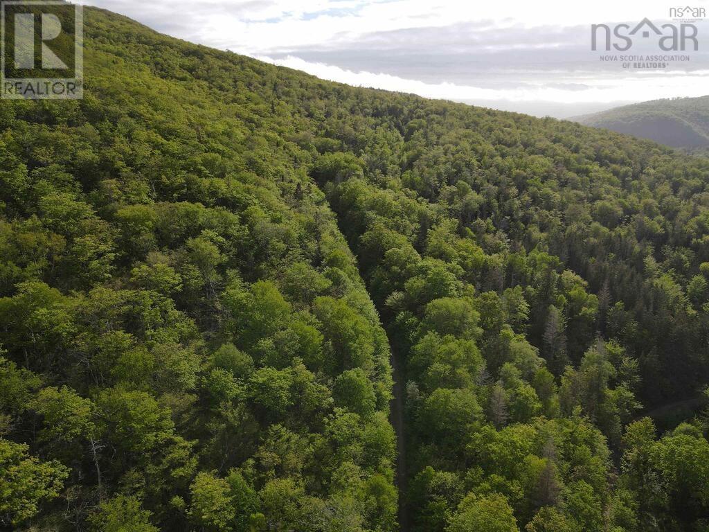 Grant 15819 Marsh Brook Road, Margaree Centre, Nova Scotia  B0E 1Z0 - Photo 3 - 202513578