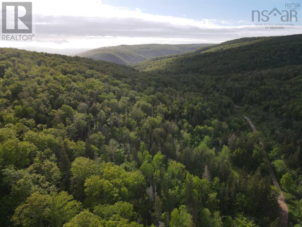 Grant 15819 Marsh Brook Road, Margaree Centre, Nova Scotia  B0E 1Z0 - Photo 1 - 202513578