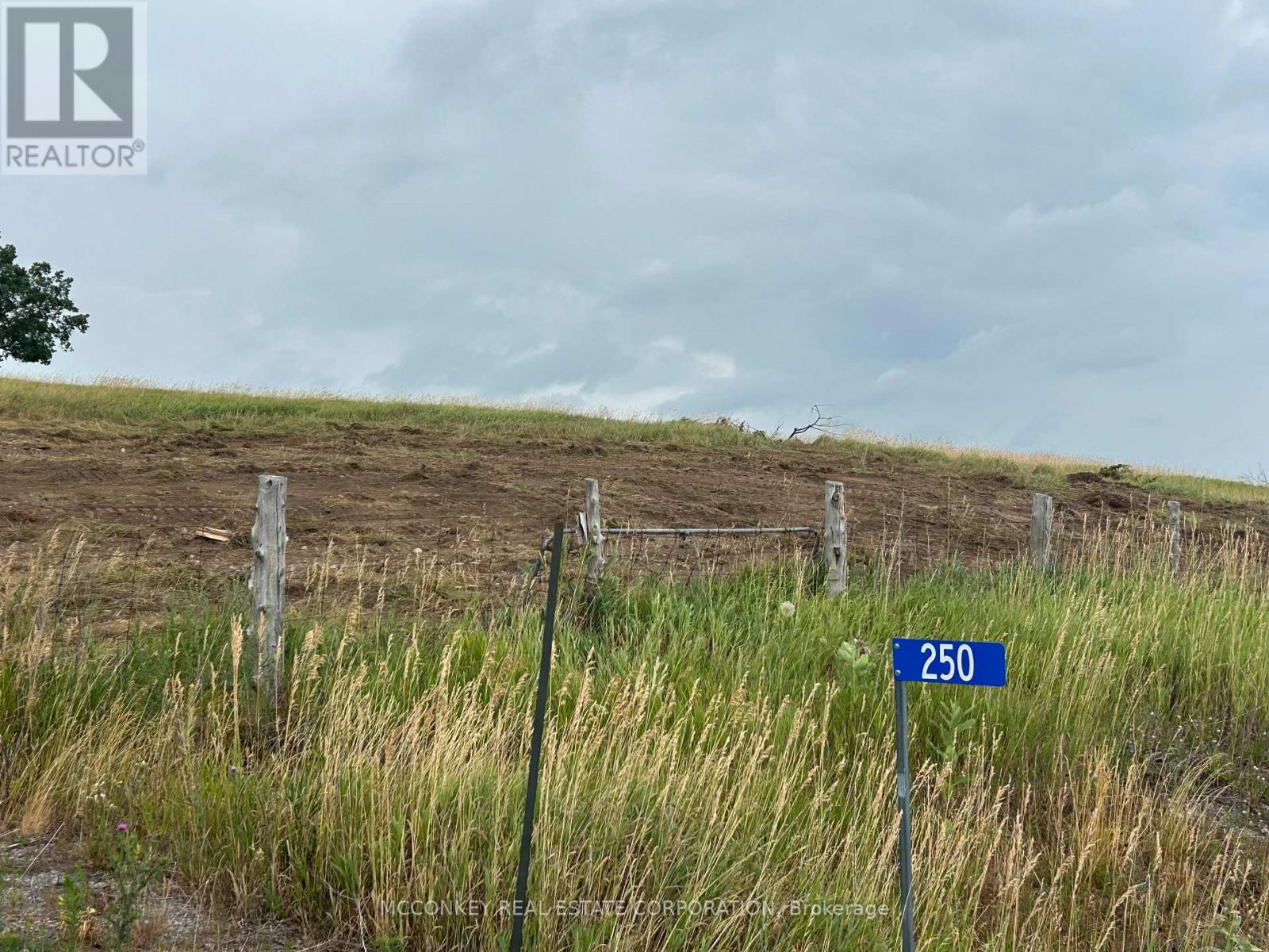 250 CONCESSION ROAD 13 E, Trent Hills, Ontario