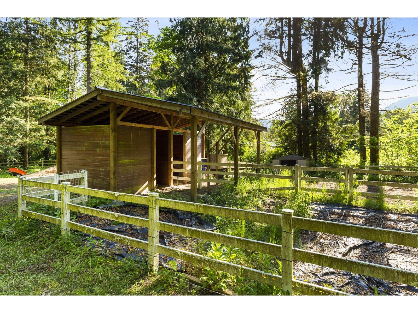 12433 Cascade Court, Mission, British Columbia  V2V 7G9 - Photo 26 - R3007632