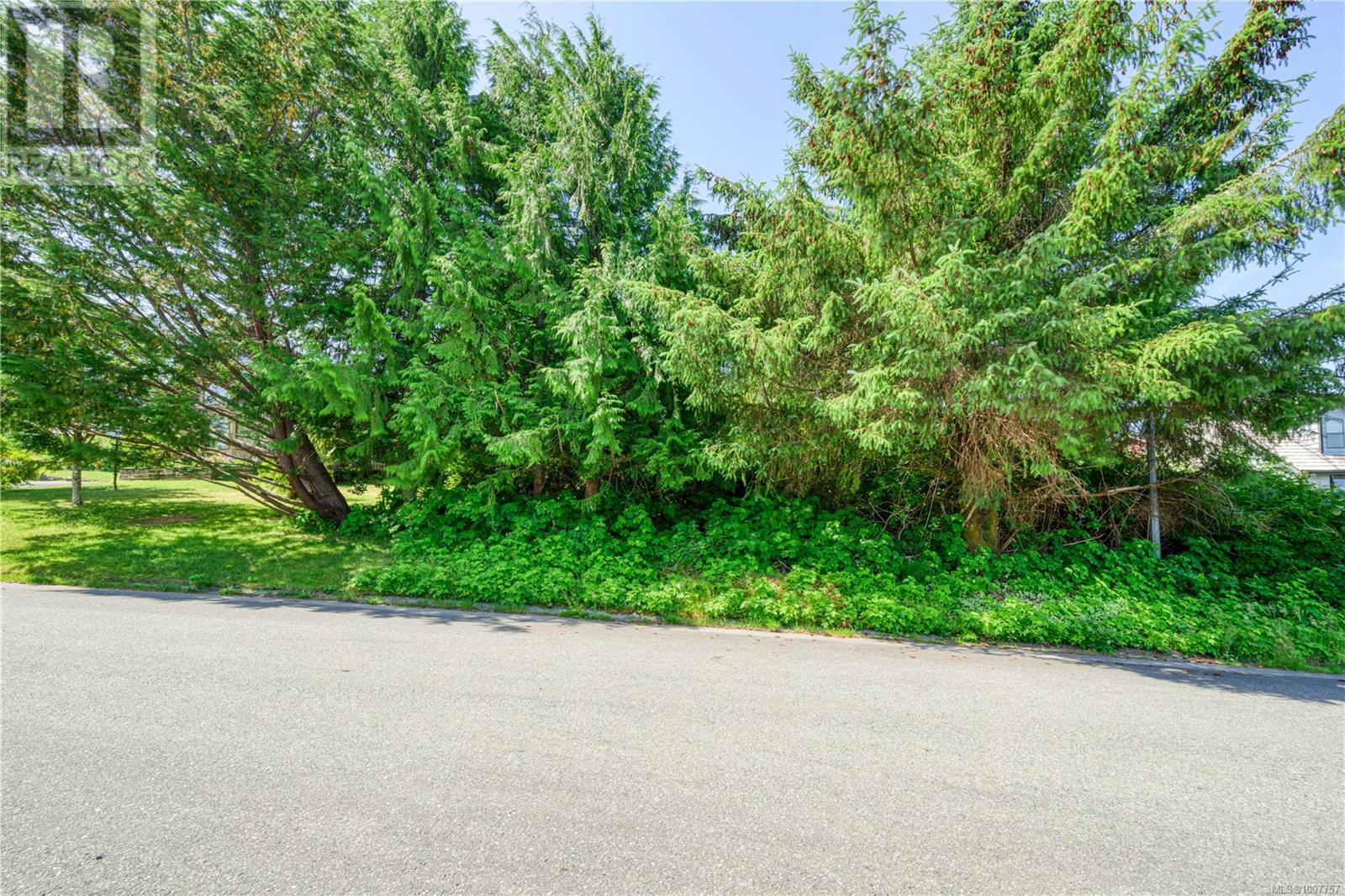 5275 Fanshawe St, Port Hardy, British Columbia  V0N 2P0 - Photo 2 - 1007757