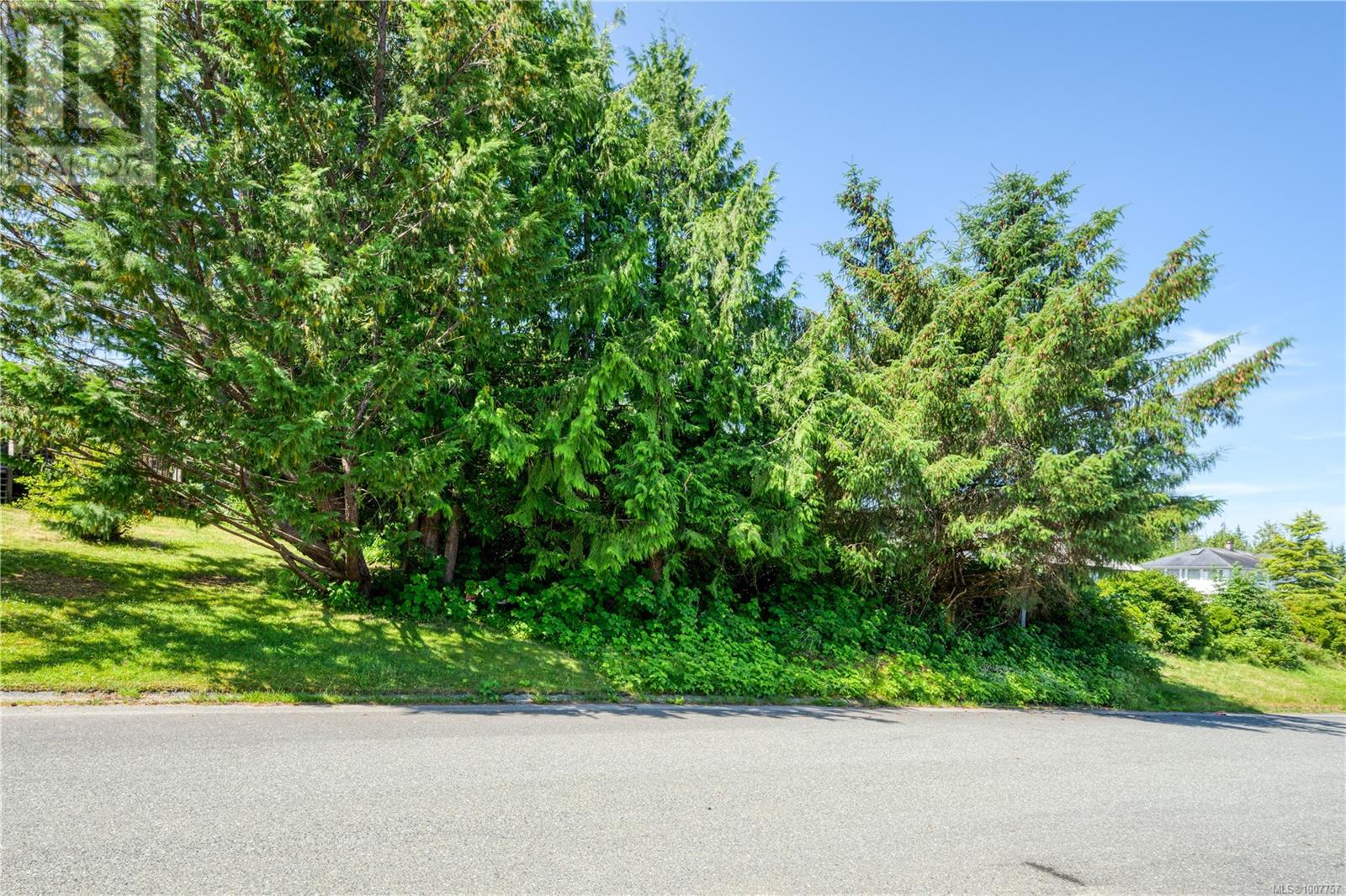 5275 Fanshawe St, Port Hardy, British Columbia  V0N 2P0 - Photo 3 - 1007757