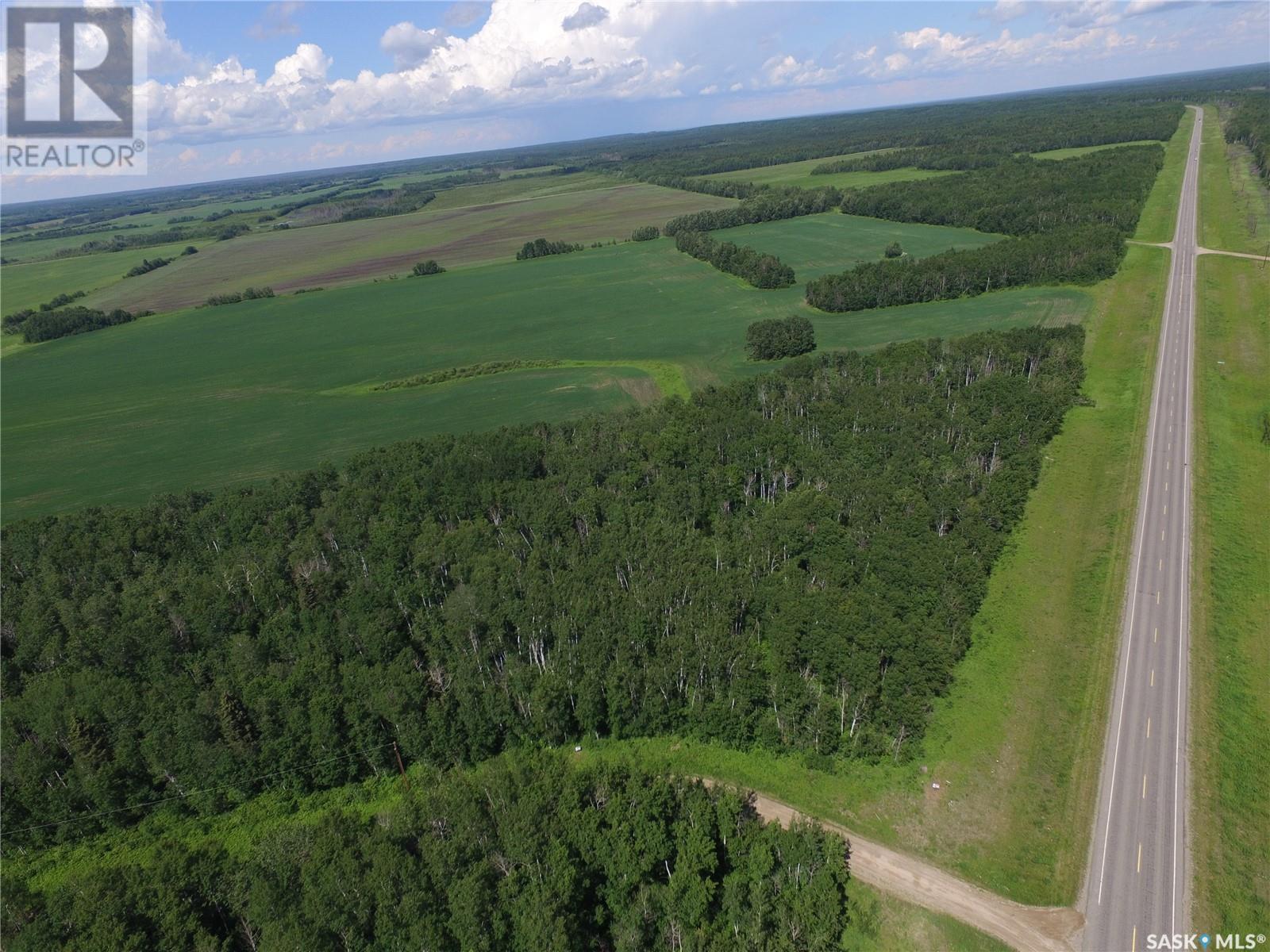 4 Poplar Place, Paddockwood Rm No. 520, Saskatchewan  S0J 1T0 - Photo 3 - SK013075