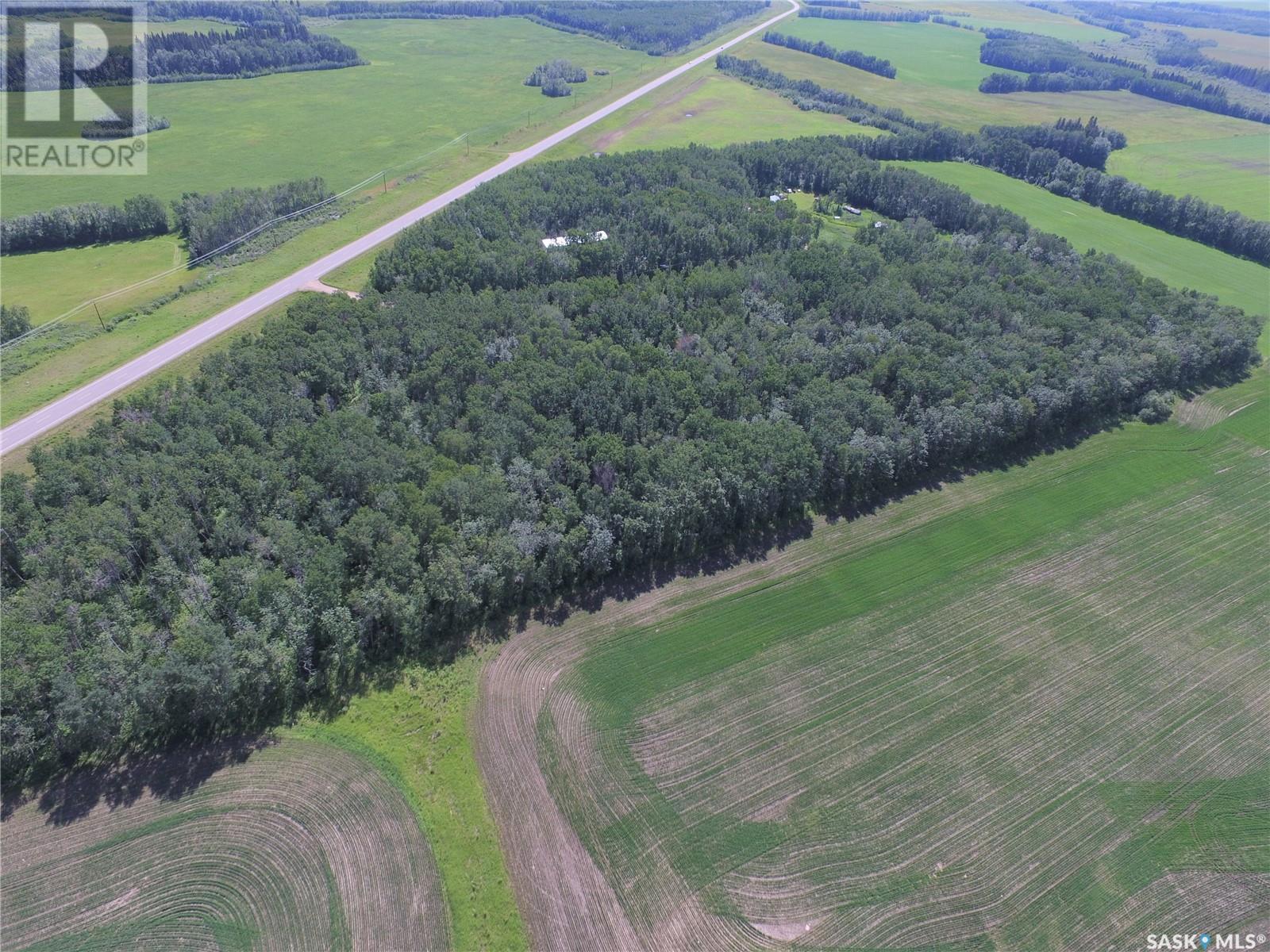 4 Poplar Place, Paddockwood Rm No. 520, Saskatchewan  S0J 1T0 - Photo 6 - SK013075