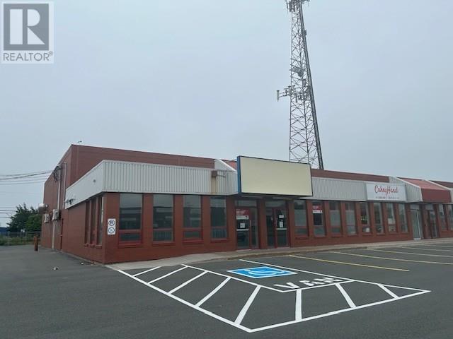 16 Stavanger Drive Unit#1, St. John's, Newfoundland & Labrador  A1A 5E8 - Photo 3 - 1283115