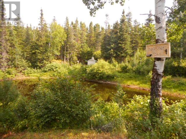00 Park Road, Birchy Lake, Newfoundland & Labrador  A0J 1T0 - Photo 11 - 1288090