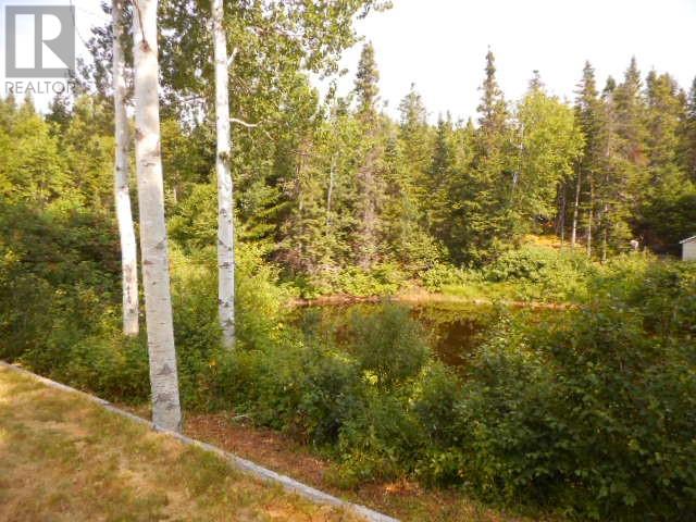 00 Park Road, Birchy Lake, Newfoundland & Labrador  A0J 1T0 - Photo 12 - 1288090