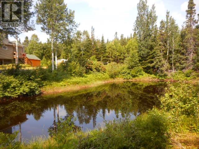00 Park Road, Birchy Lake, Newfoundland & Labrador  A0J 1T0 - Photo 4 - 1288090