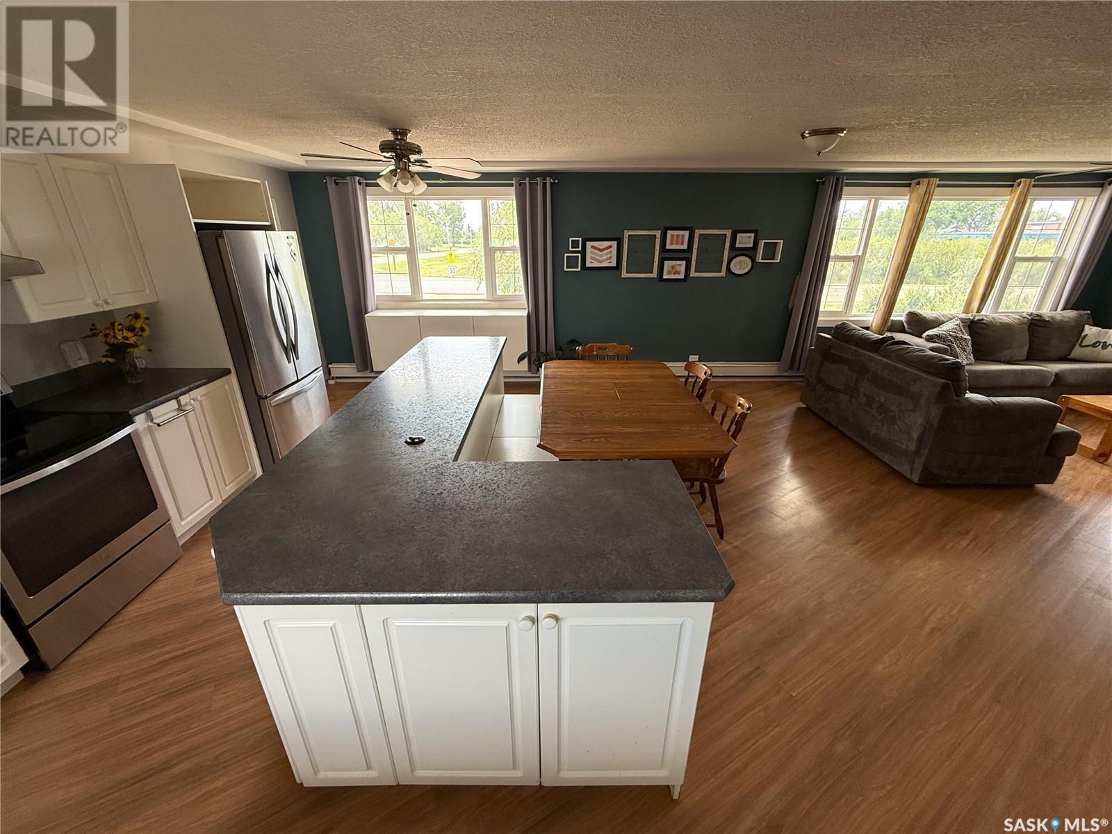 223 2nd Avenue E, Frontier, Saskatchewan  S0N 0W0 - Photo 11 - SK013102