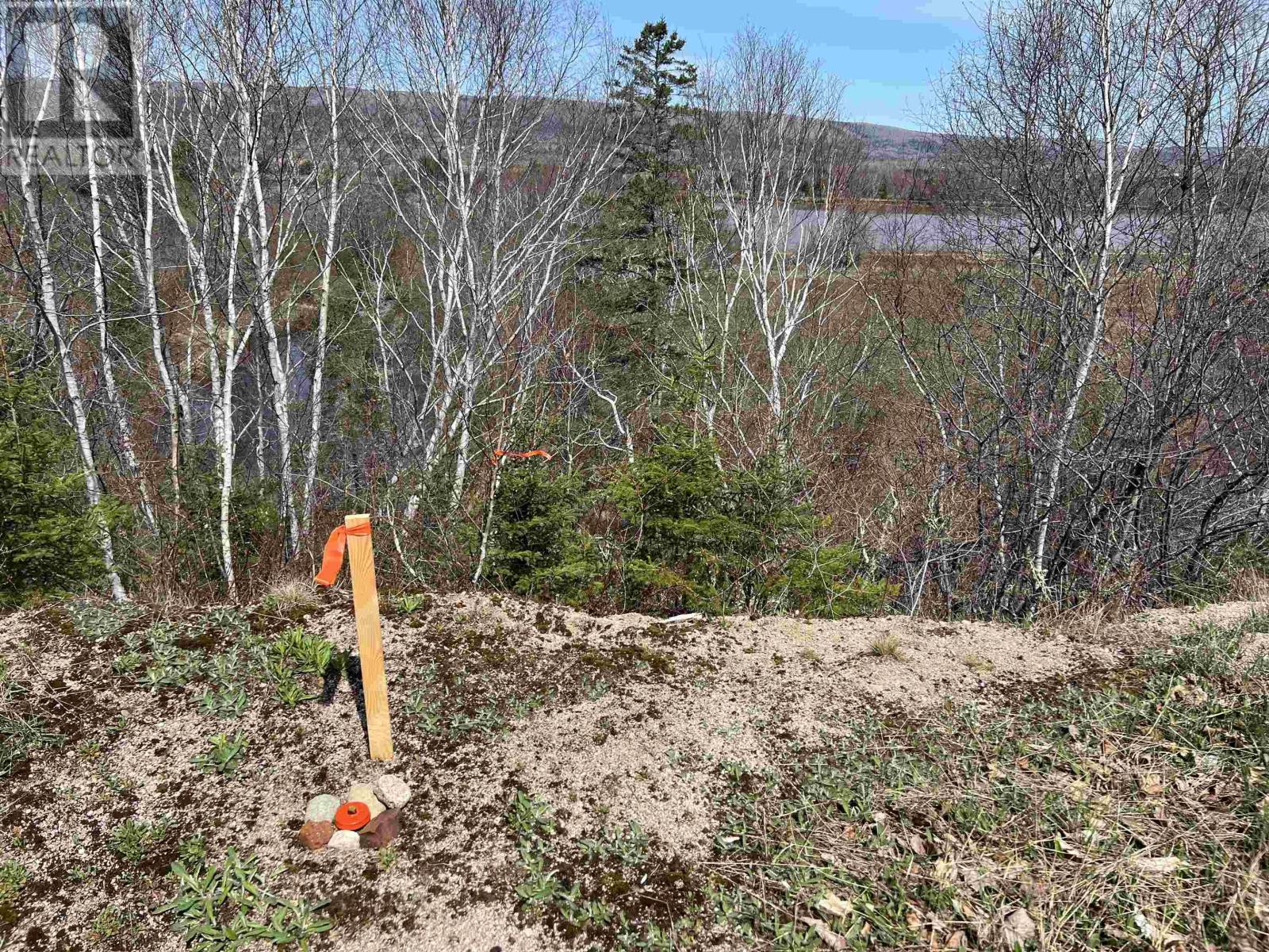 Highway 201, Round Hill, Nova Scotia  B0S 1C0 - Photo 22 - 202509089