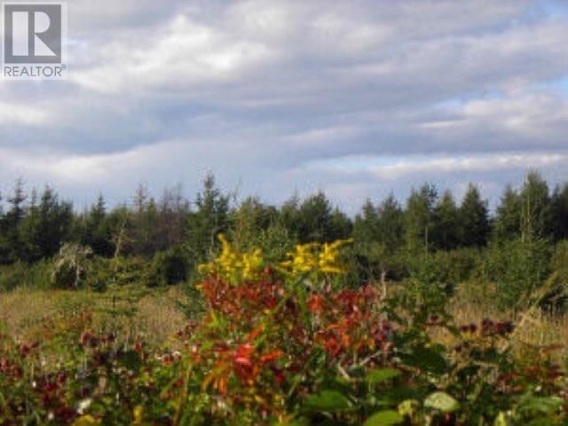 Mckinnon Road, Derby, Prince Edward Island  C0B 1H0 - Photo 15 - 202518109