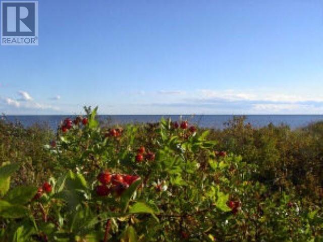 Mckinnon Road, Derby, Prince Edward Island  C0B 1H0 - Photo 6 - 202518109