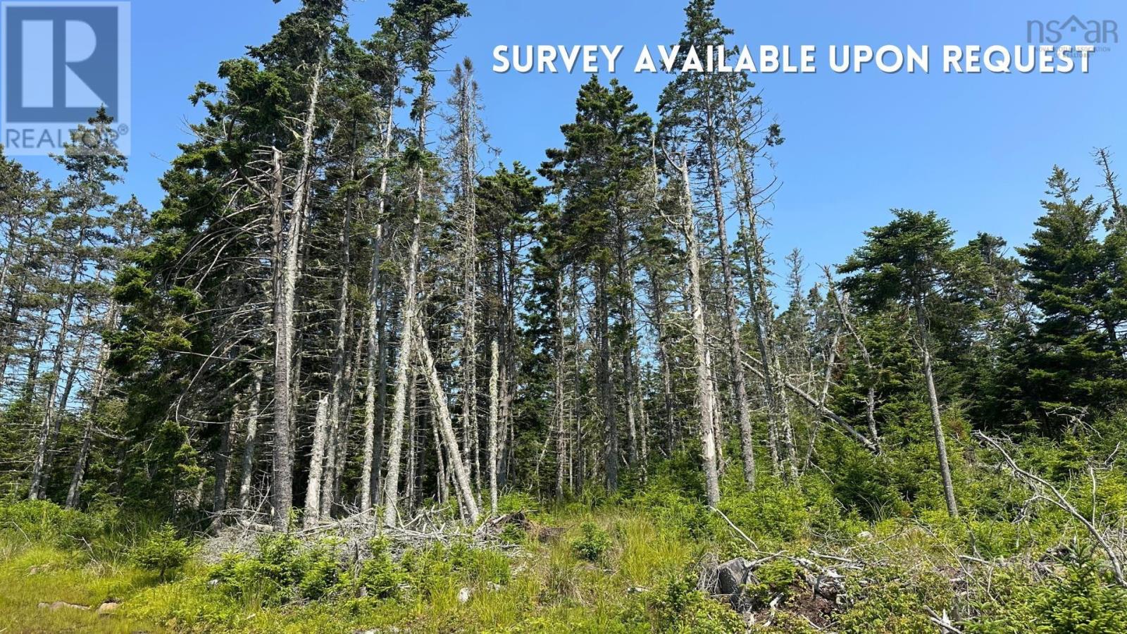 Lot Upper Kingsburg Road, Upper Kingsburg, Nova Scotia  B0J 2X0 - Photo 4 - 202518110