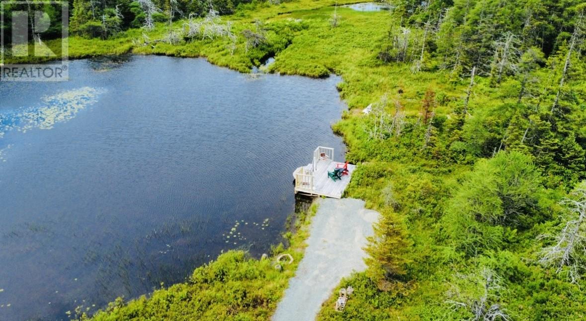 23 Old Mans Pond, Makinsons, Newfoundland & Labrador  A0A 2X0 - Photo 48 - 1288103