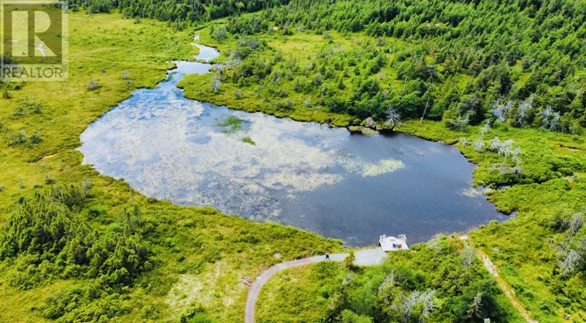 23 Old Mans Pond, Makinsons, Newfoundland & Labrador  A0A 2X0 - Photo 7 - 1288103
