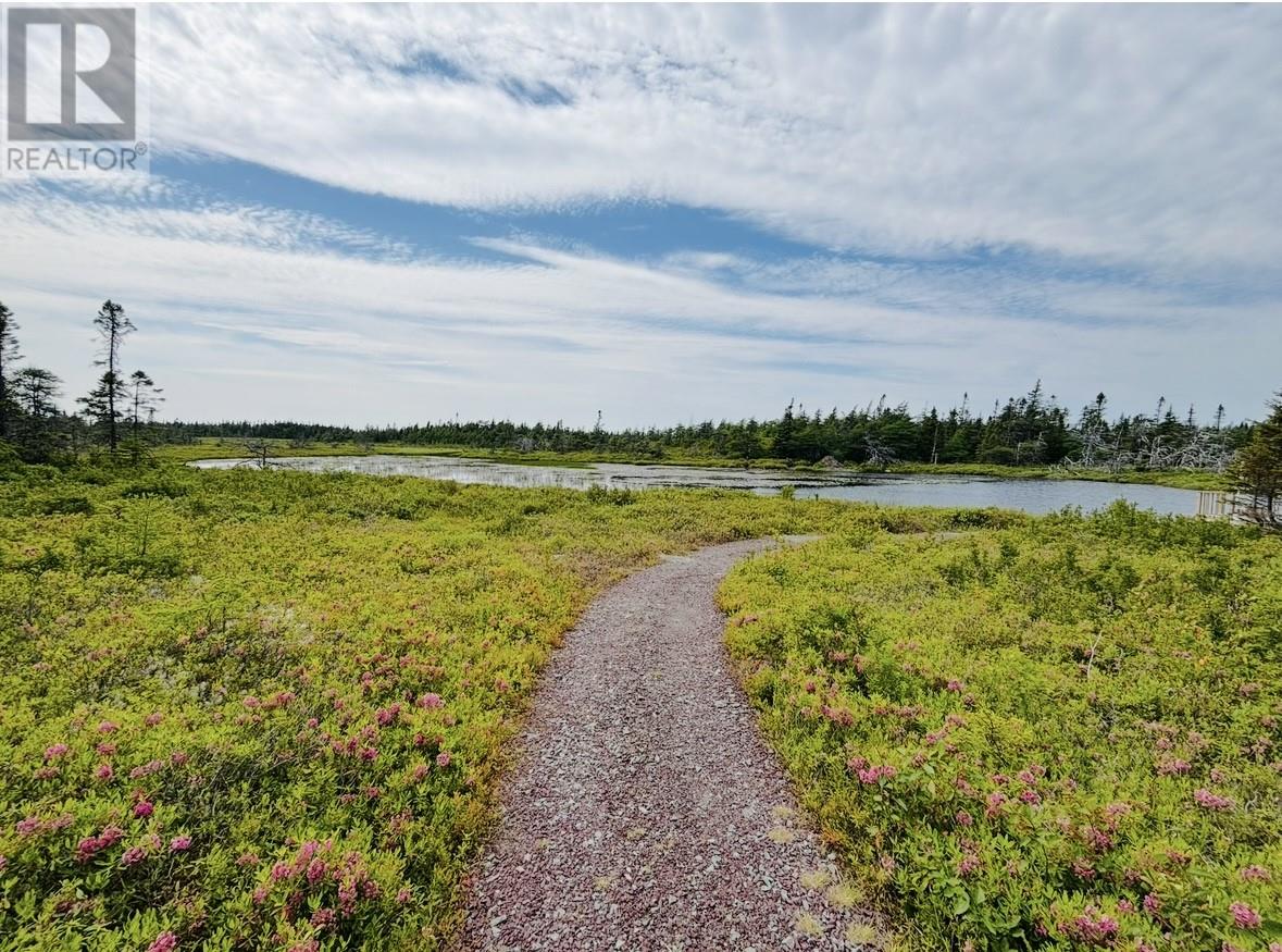 23 Old Mans Pond, Makinsons, Newfoundland & Labrador  A0A 2X0 - Photo 47 - 1288103