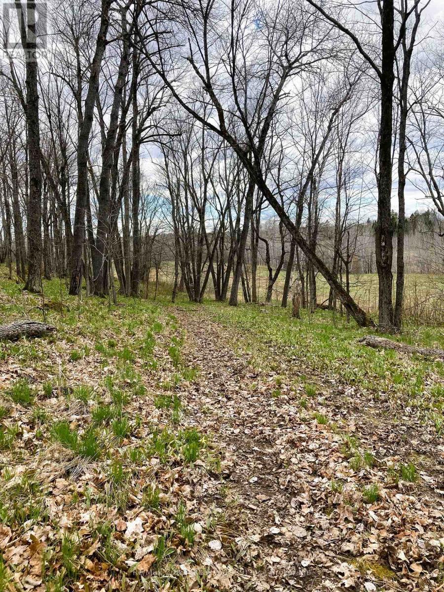 303 Clear Lake Road, Parry Sound Remote Area, Ontario  P0H 1A0 - Photo 47 - X12258939