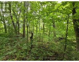 000 CEDAR SANDS ROAD, Rideau Lakes, Ontario