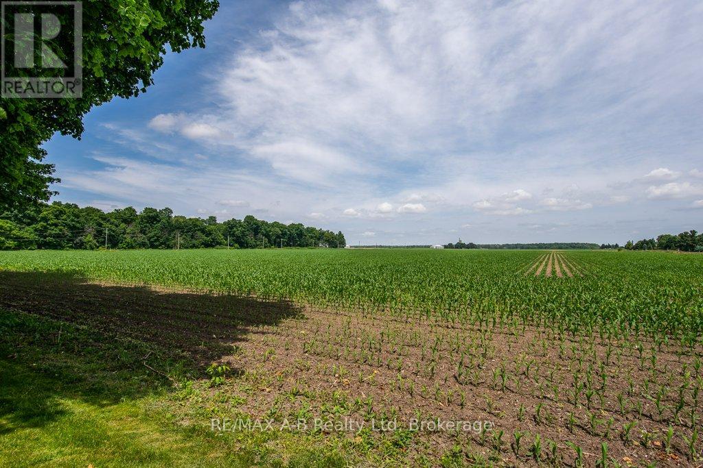 86 Jacob Street W, East Zorra-Tavistock, Ontario  N0B 2R0 - Photo 12 - X12294845