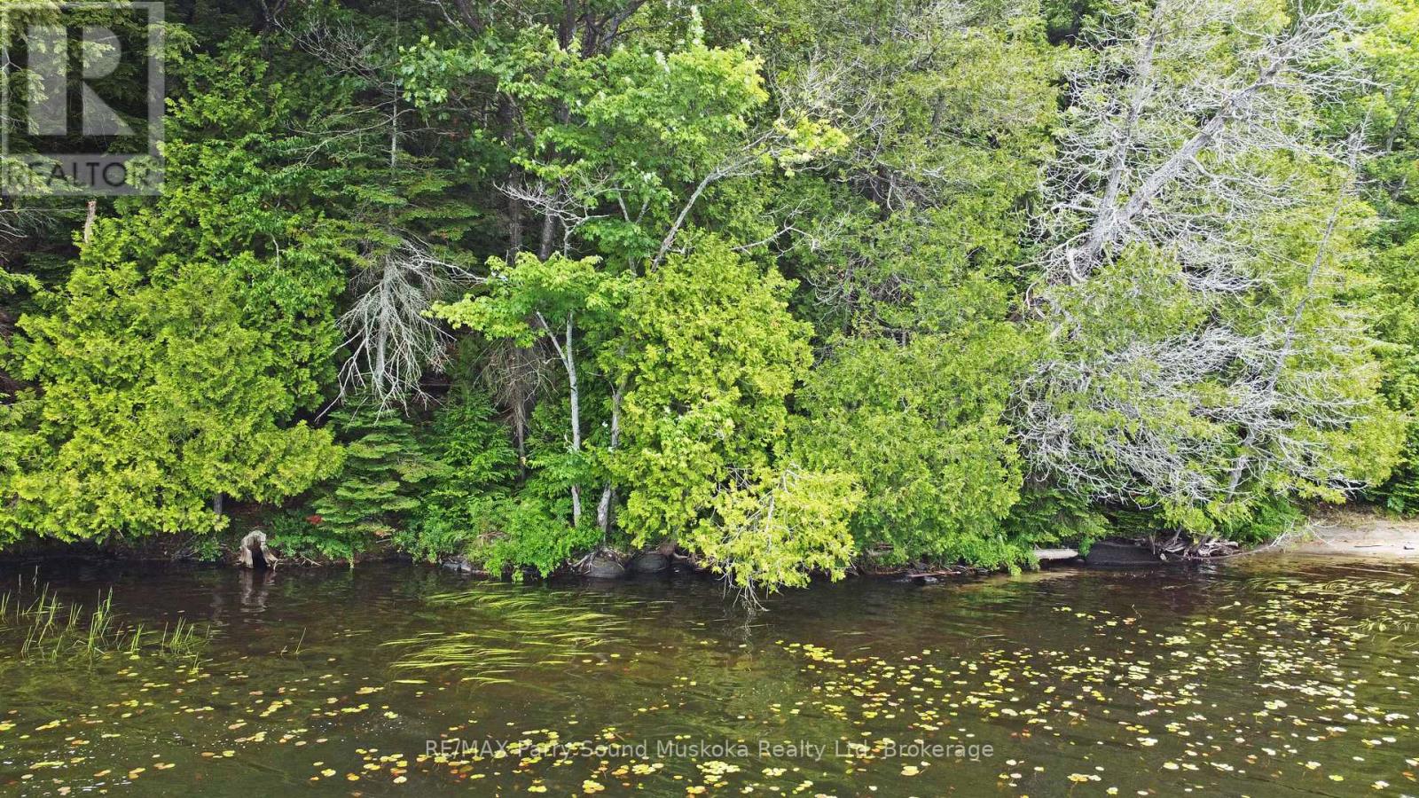 Lot 1 Shields Drive, Seguin, Ontario  P2A 2W8 - Photo 10 - X12294869