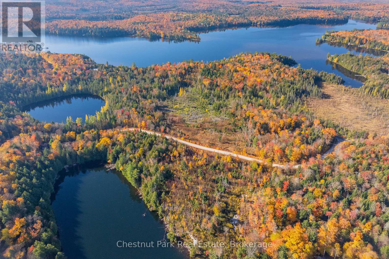 1031 Carl Fisher Drive, Lake Of Bays, Ontario  P1H 2J6 - Photo 12 - X12294994