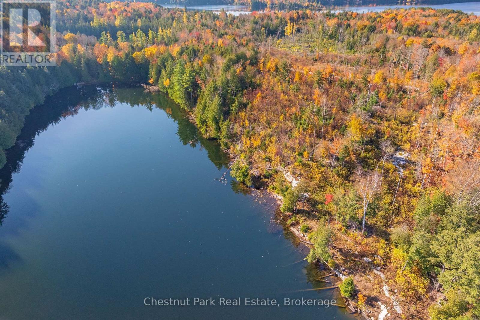 1031 Carl Fisher Drive, Lake Of Bays, Ontario  P1H 2J6 - Photo 22 - X12294994