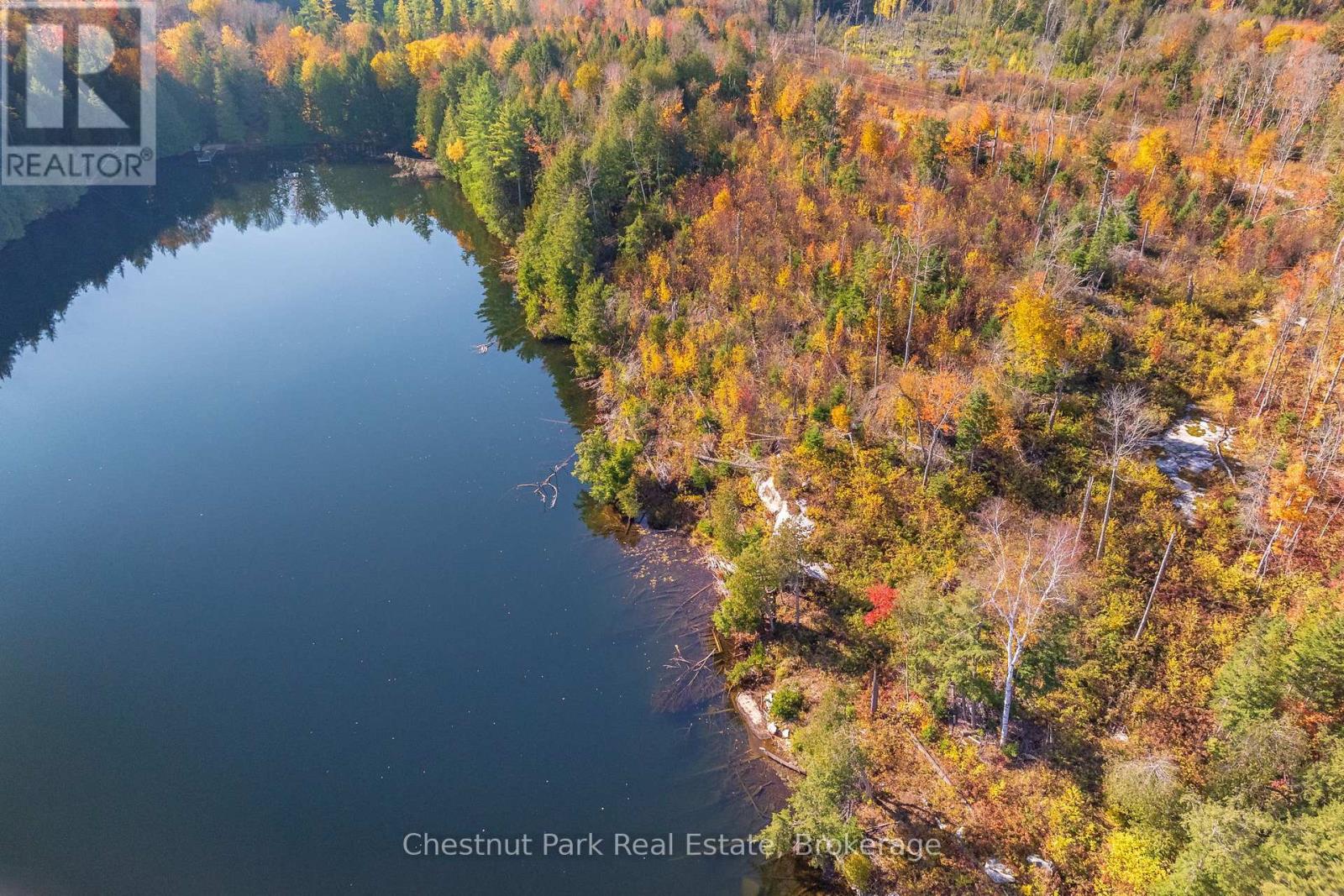 1031 Carl Fisher Drive, Lake Of Bays, Ontario  P1H 2J6 - Photo 23 - X12294994