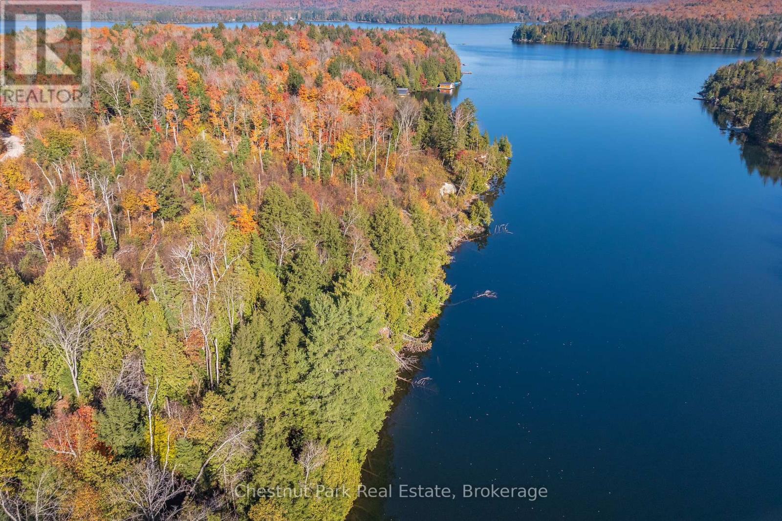 1031 Carl Fisher Drive, Lake Of Bays, Ontario  P1H 2J6 - Photo 27 - X12294994