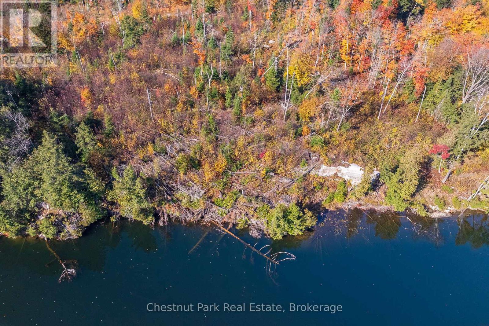 1031 Carl Fisher Drive, Lake Of Bays, Ontario  P1H 2J6 - Photo 28 - X12294994