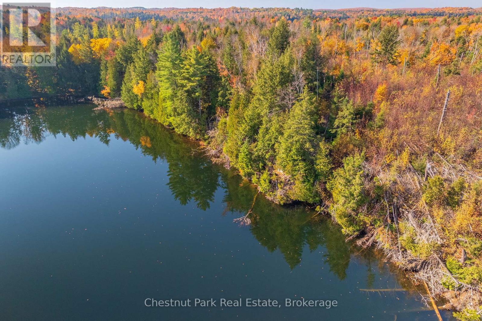 1031 Carl Fisher Drive, Lake Of Bays, Ontario  P1H 2J6 - Photo 29 - X12294994