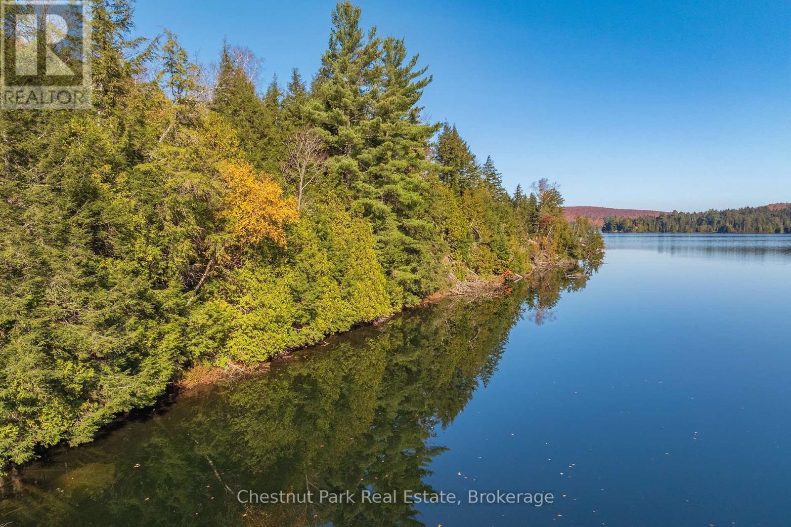 1031 Carl Fisher Drive, Lake Of Bays, Ontario  P1H 2J6 - Photo 30 - X12294994