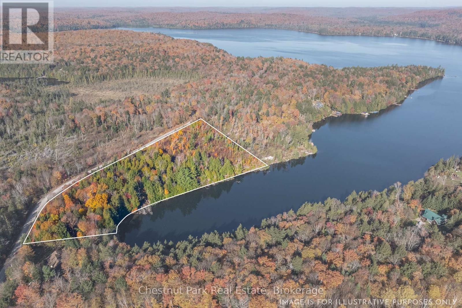 1031 Carl Fisher Drive, Lake Of Bays, Ontario  P1H 2J6 - Photo 6 - X12294994