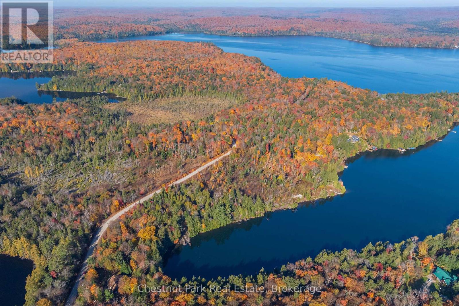 1031 Carl Fisher Drive, Lake Of Bays, Ontario  P1H 2J6 - Photo 8 - X12294994