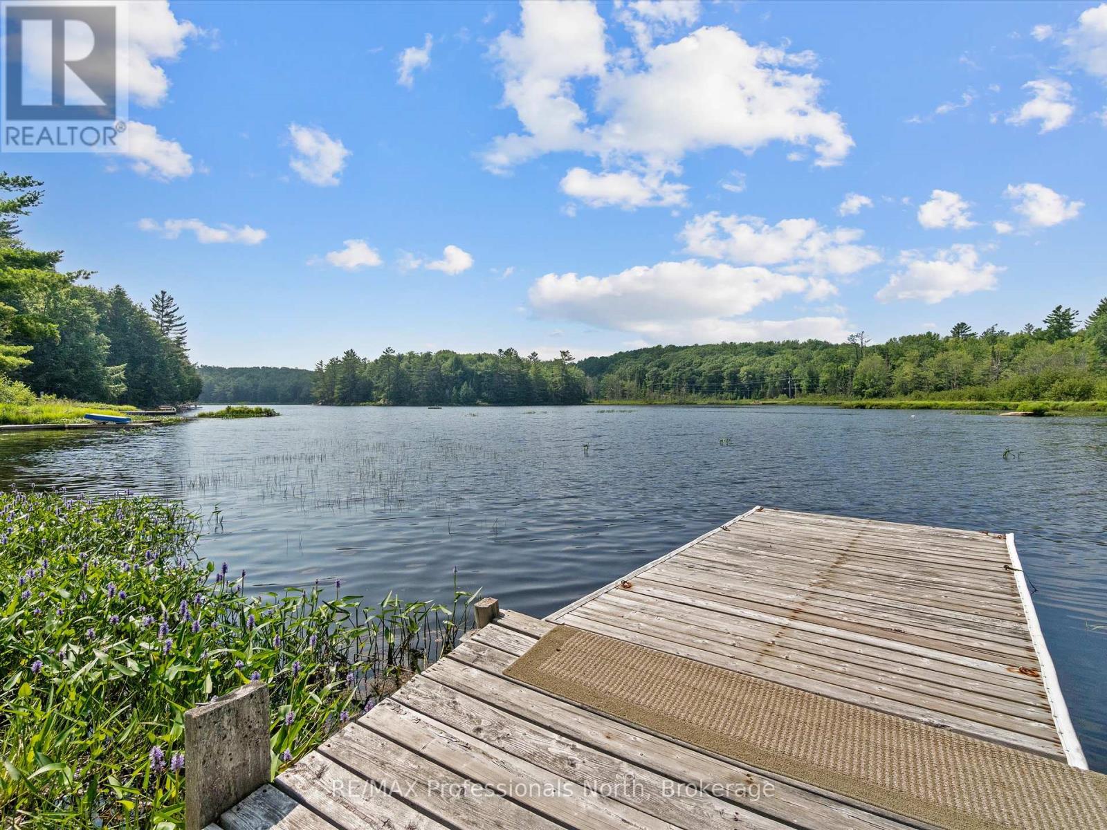 1020 Gordonier Lake Road, Bracebridge, Ontario  P1L 1X3 - Photo 30 - X12295057