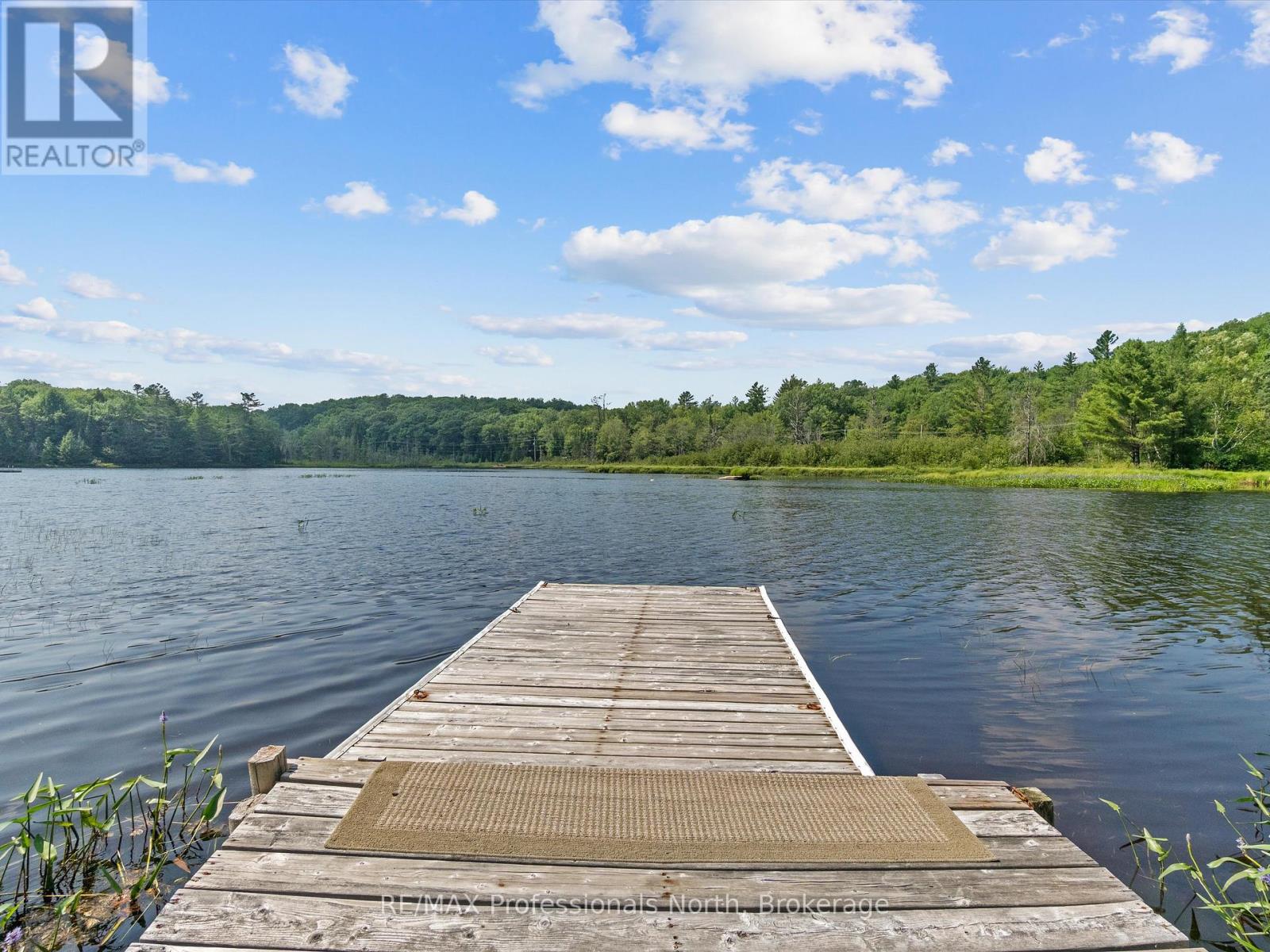 1020 Gordonier Lake Road, Bracebridge, Ontario  P1L 1X3 - Photo 37 - X12295057