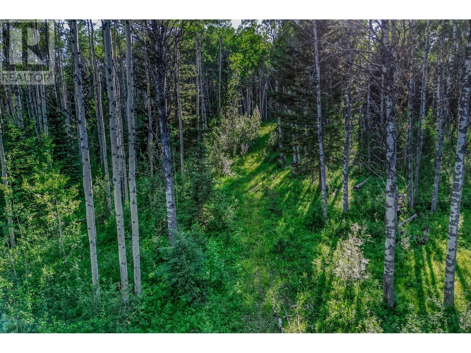 Dl 4274 Bell Road, Bridge Lake, British Columbia  V0K 1X2 - Photo 9 - R3028664