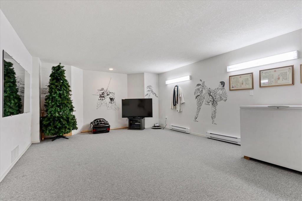 3561 Picton Street, Abbotsford, British Columbia  V2S 7H6 - Photo 29 - R3027051