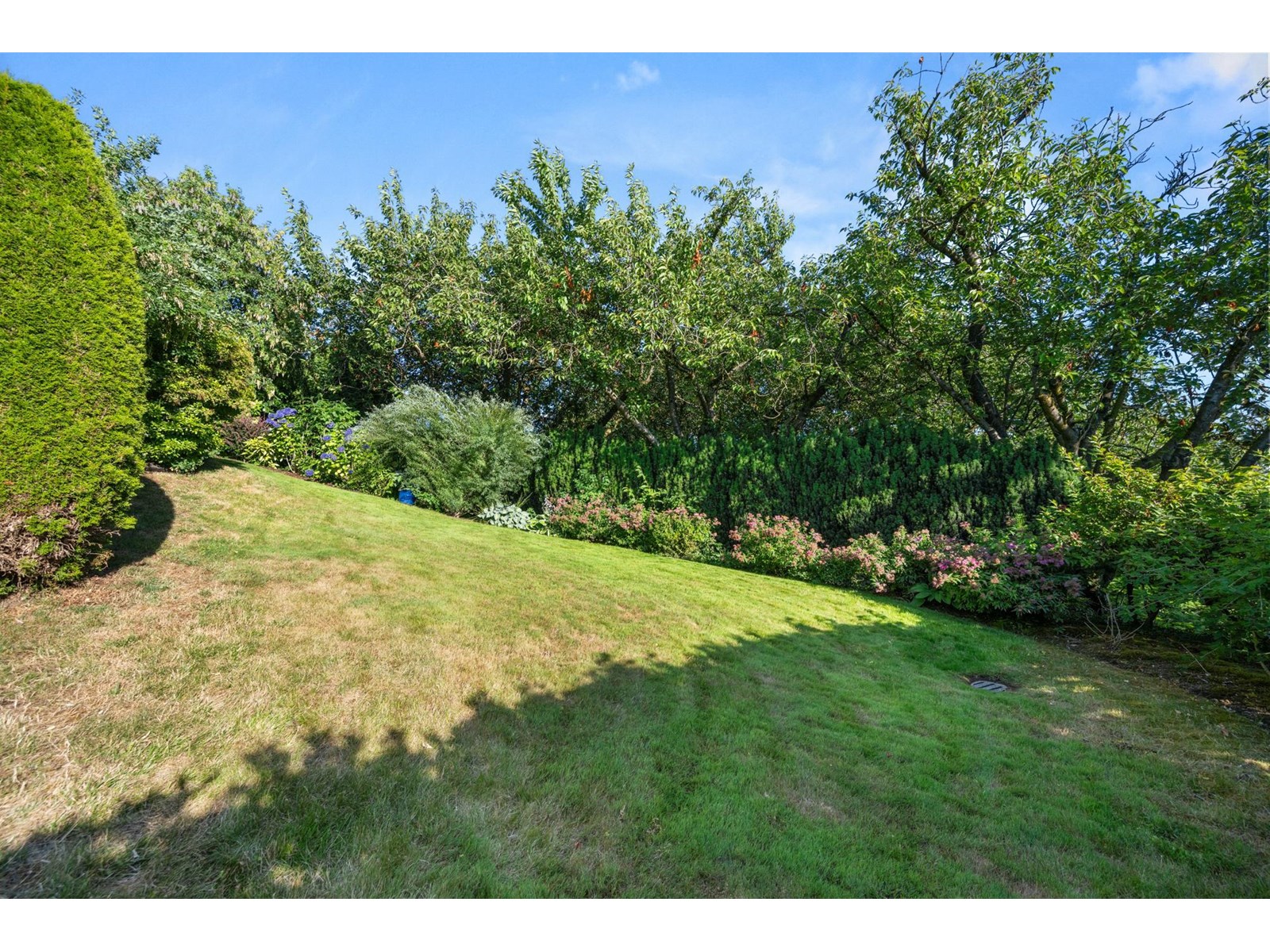 39 31450 Spur Avenue, Abbotsford, British Columbia  V2T 5M3 - Photo 33 - R3028508