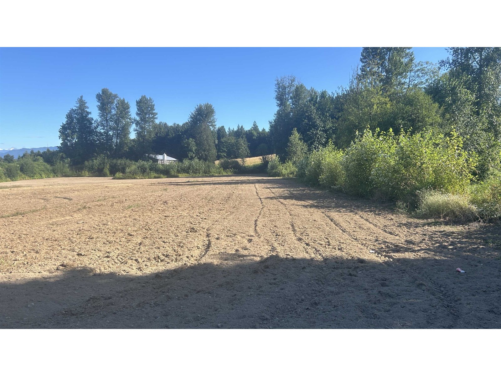 30952 Harris Road Road, Abbotsford, British Columbia  V4X 1W2 - Photo 34 - R3028093