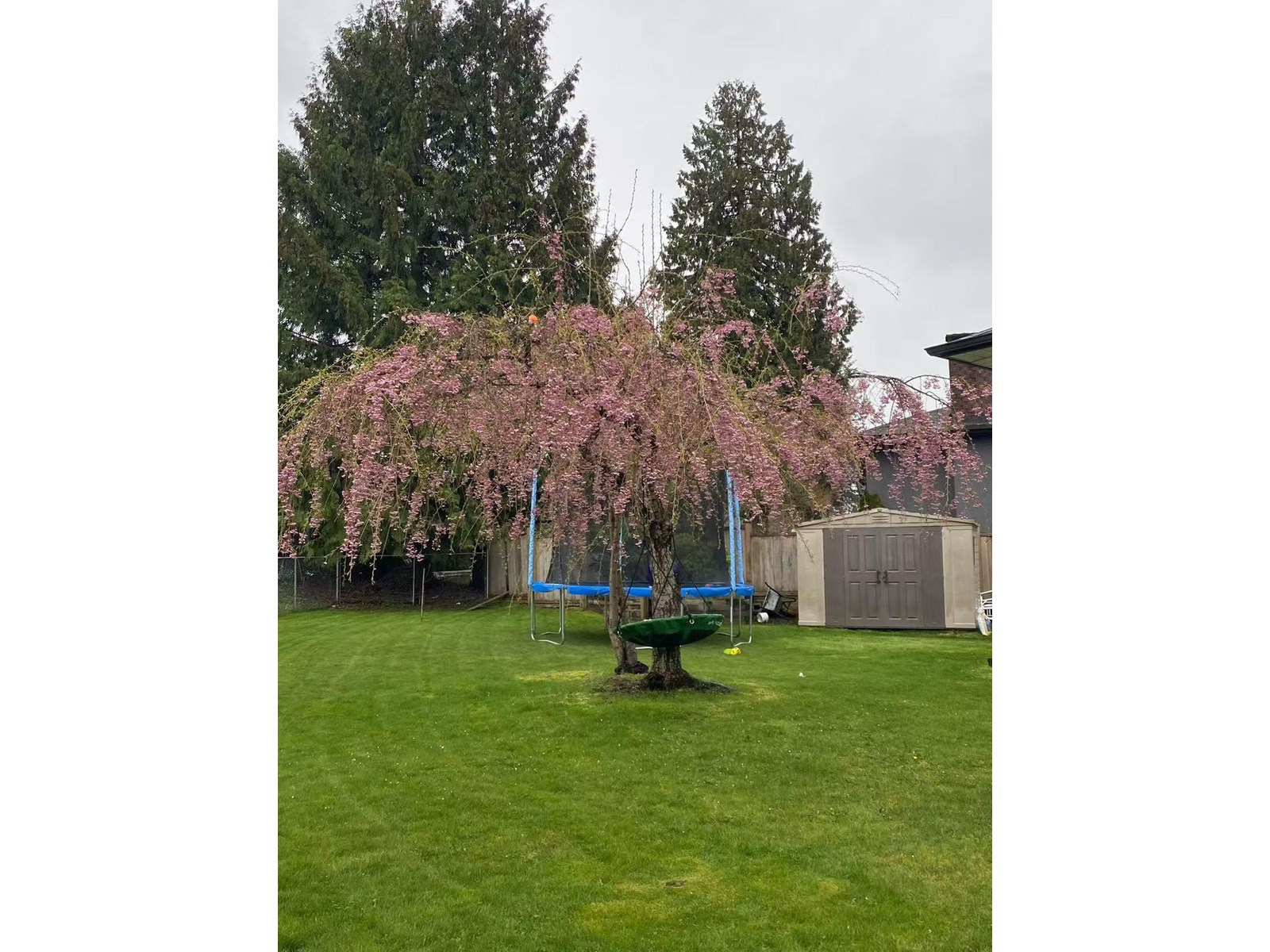 14920 Kew Drive, Surrey, British Columbia  V3R 4Y2 - Photo 4 - R3028715