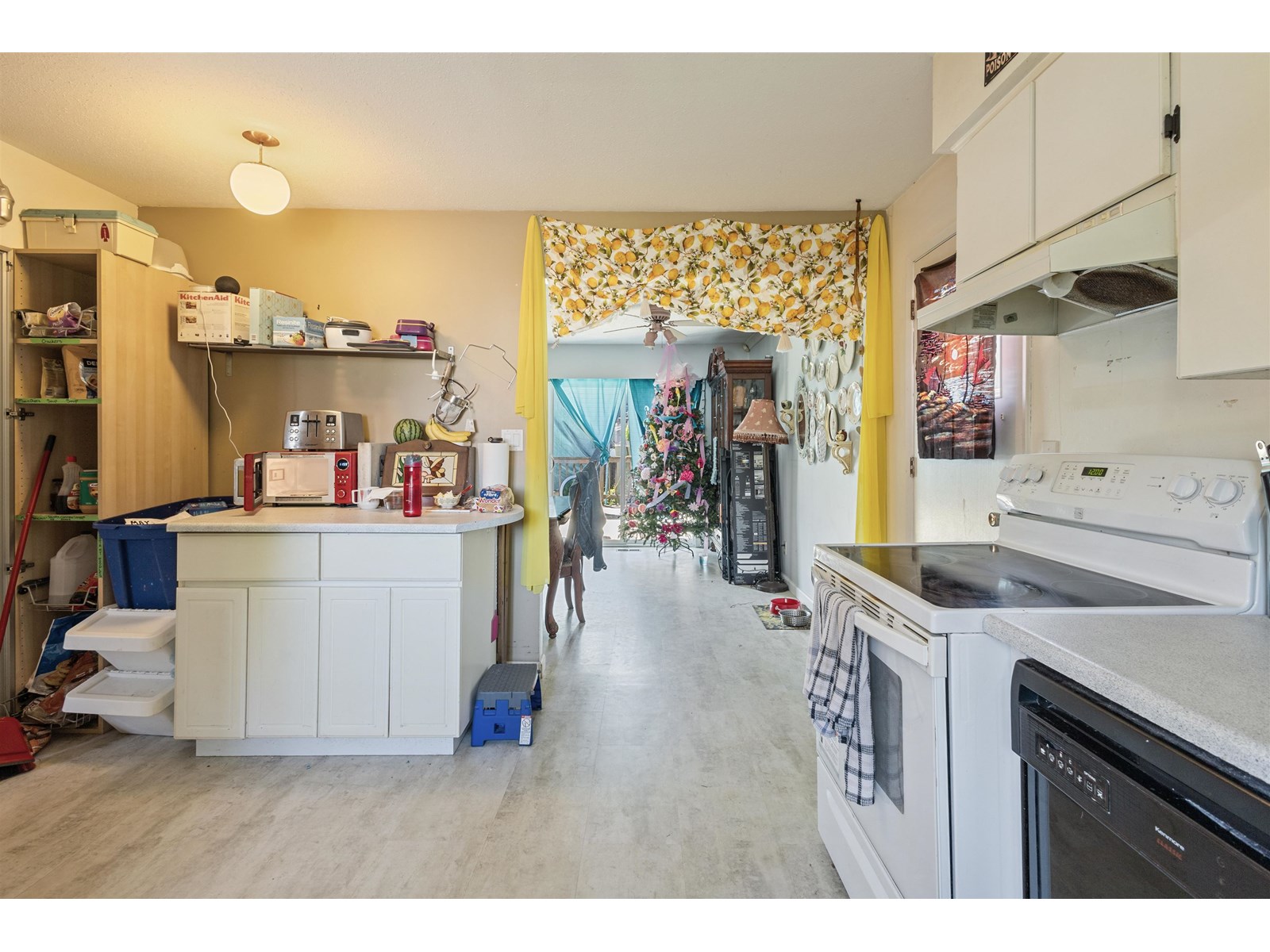 33232 Plaxton Crescent, Abbotsford, British Columbia  V2S 1V9 - Photo 9 - R3028563