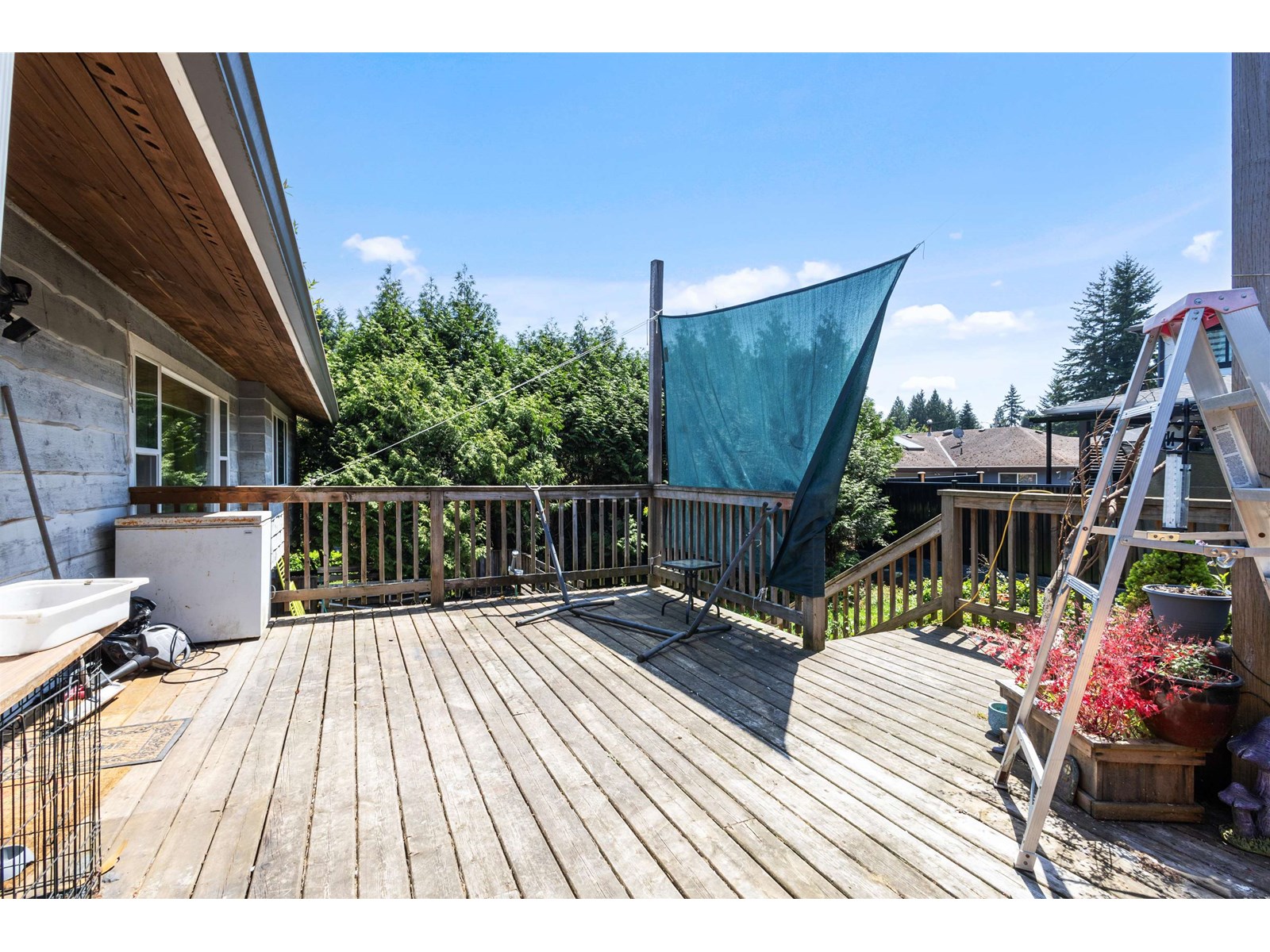 33232 Plaxton Crescent, Abbotsford, British Columbia  V2S 1V9 - Photo 28 - R3028563
