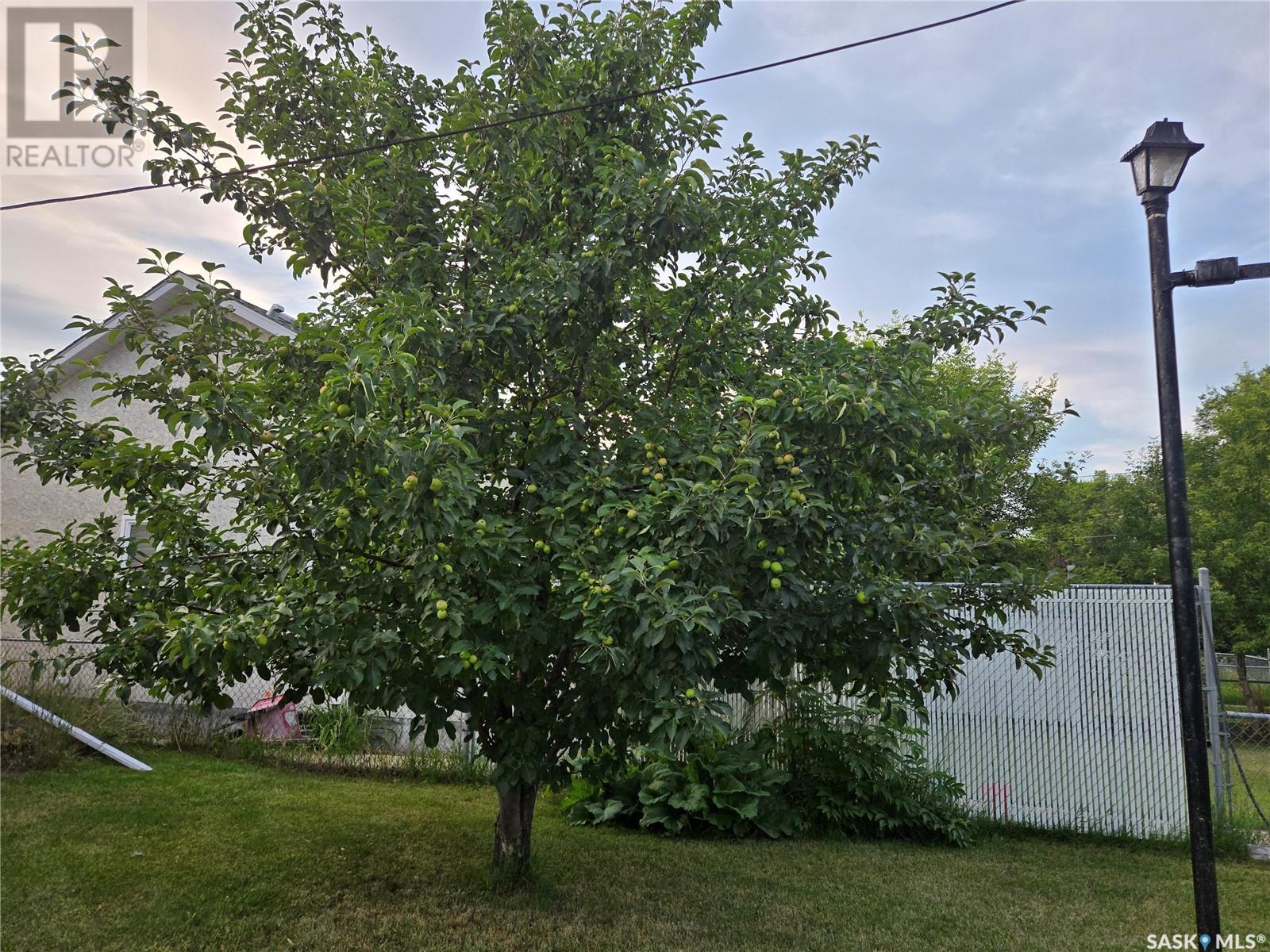 215 Heward Street, Stoughton, Saskatchewan  S0G 4T0 - Photo 20 - SK012948