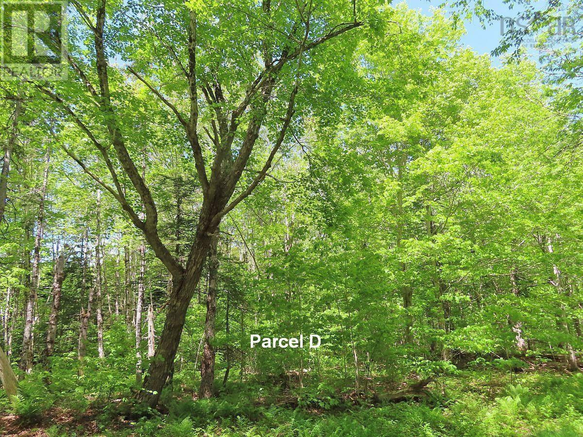 3 Lots Gold River Road, Upper Middle River, Nova Scotia  B0E 1B0 - Photo 17 - 202426003