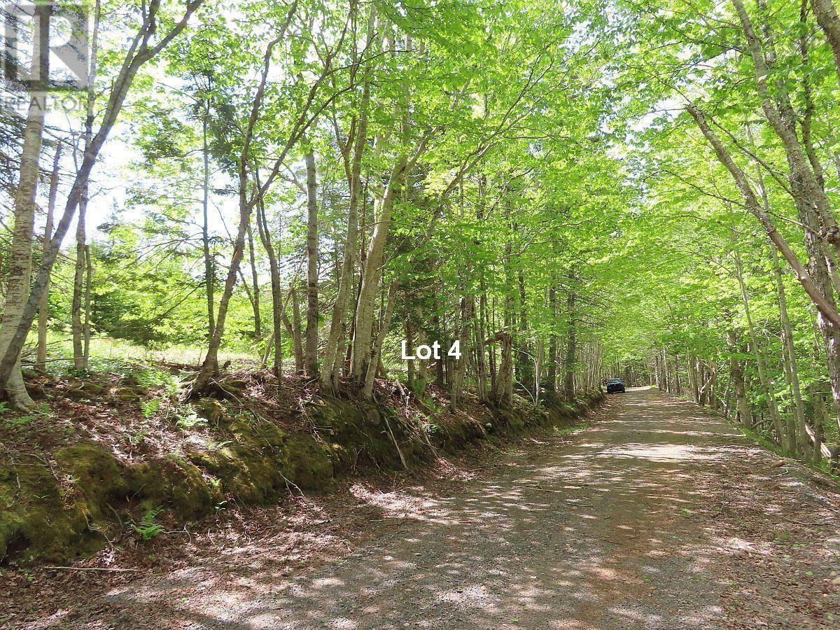 3 Lots Gold River Road, Upper Middle River, Nova Scotia  B0E 1B0 - Photo 23 - 202426003